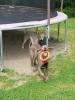 Hunter:Grizzly chase